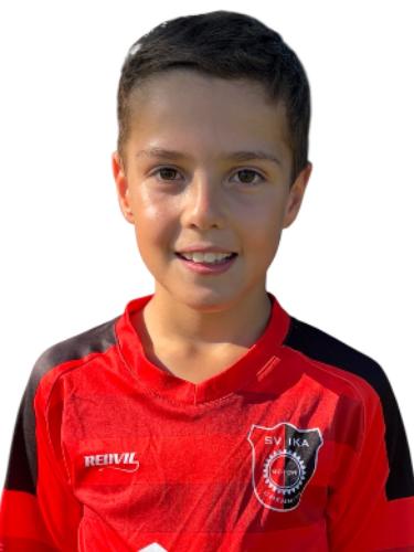 Milan Hickl