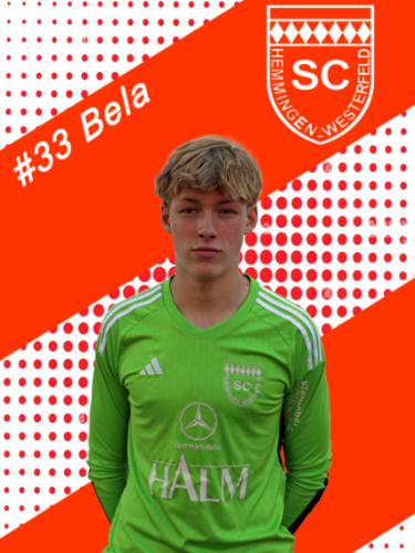Bela-Borisson Hoepfner