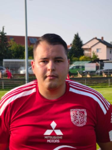 Haris Hamzic