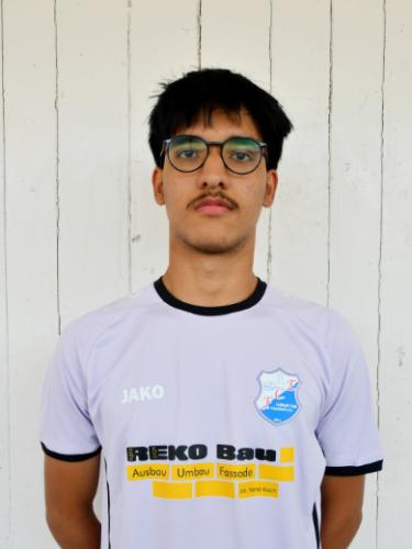 Said Mohammad Reza Hoseini