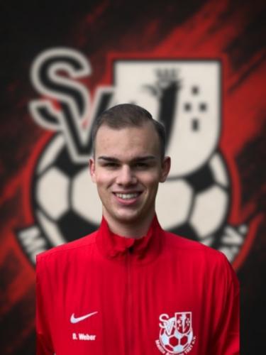 Dominik Weber