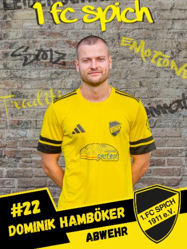 Dominik Hamböker