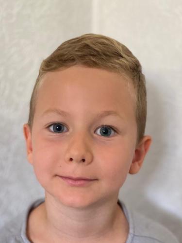 Theo Hartwich