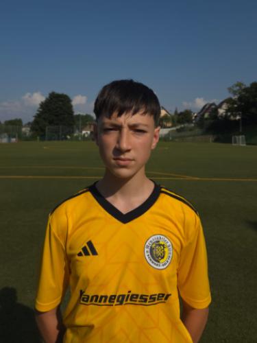 David Ionut Ursuleasa