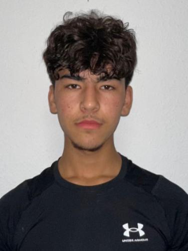 Mustafa Danish