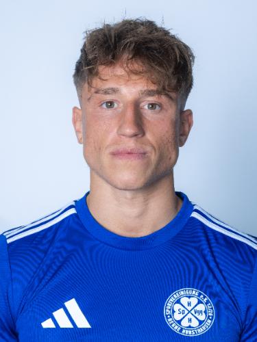 Toni Anto Petrovic