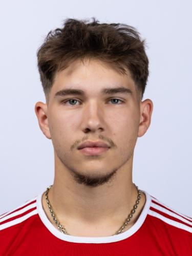 Fabian Leon Pastow