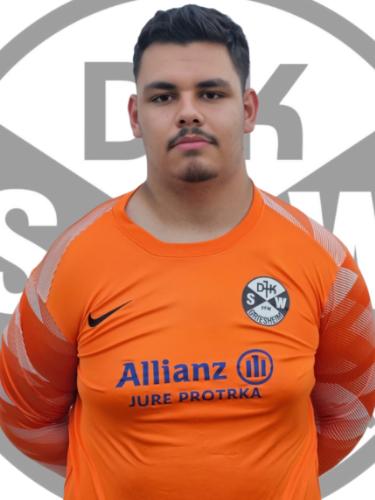 Luiz-Fernando Hegazi