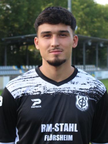 Damir Mehonic