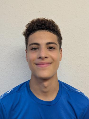 Mohamed-Amin Salmi