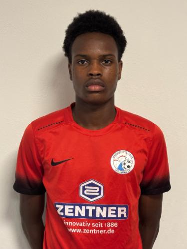 Elijah Oluwasegun Ojeikere