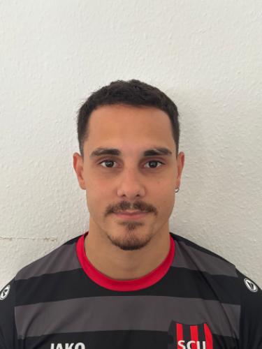 Fernando Henrique Krüll