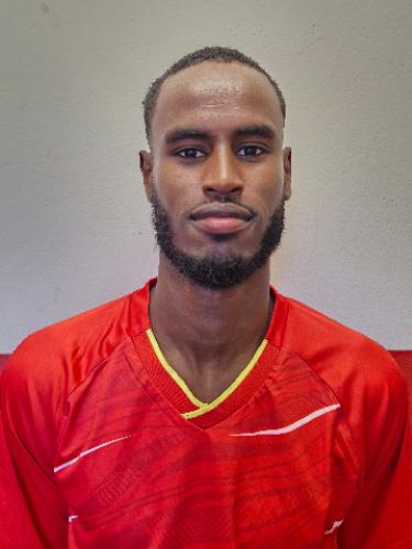 Bonsoon Erwin Skibba