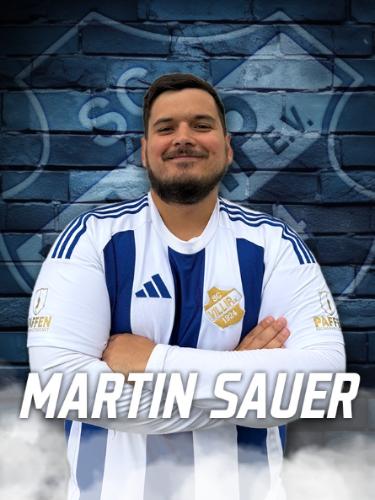 Martin Sauer