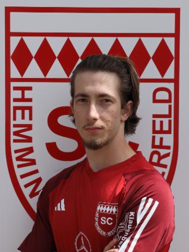 Iulian-Alin Toader