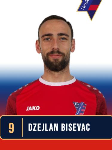 Dzejlan Bisevac