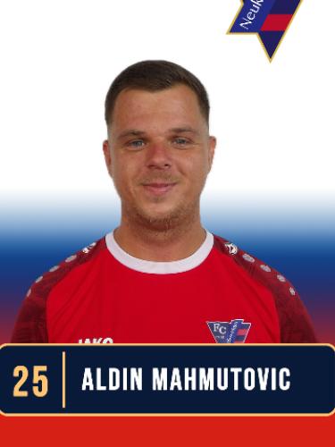 Aldin Mahmutovic