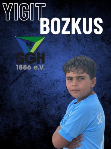 Yigit Sezai Bozkus