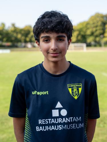 Arvin Salehi Sadaghiani