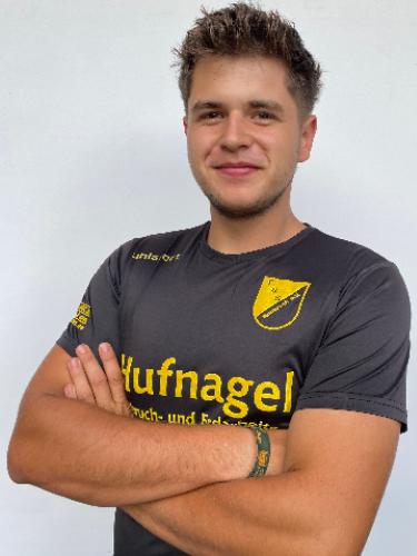 Darius Nicusor Costea