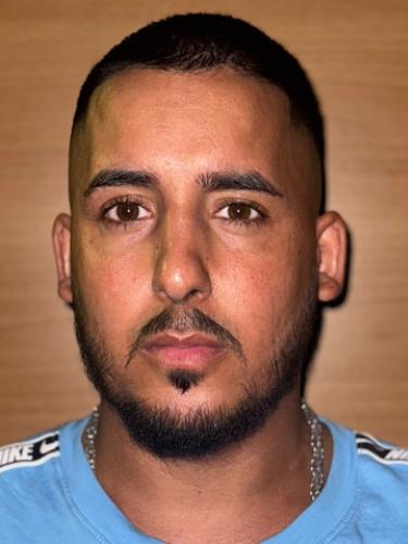 Mohamad El-Ali