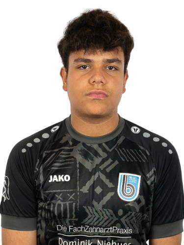 Luis Manuel Toro Penn