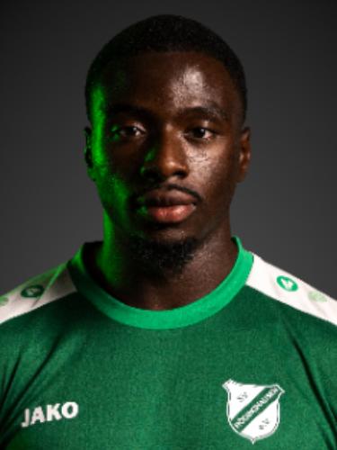 Abdul Moursalim Fesenmeyer