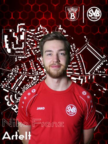 Niko Franz Artelt