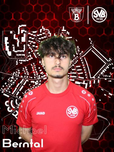 Michael David Berntal