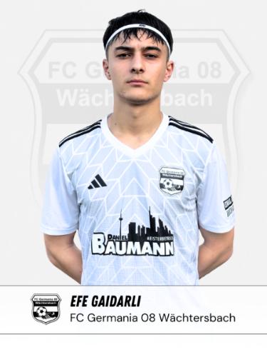 Efe Gaidarli