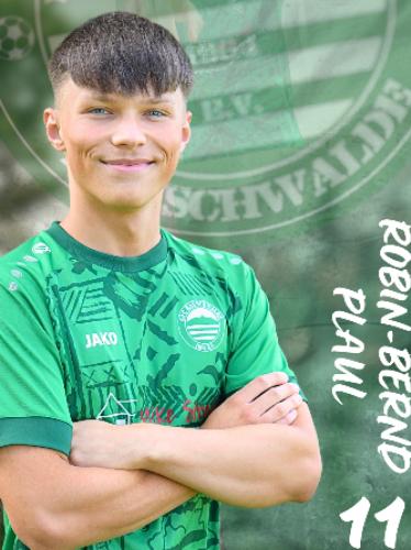 Robin-Bernd Plaul