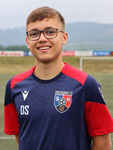 Dennis Leon Schleifstein