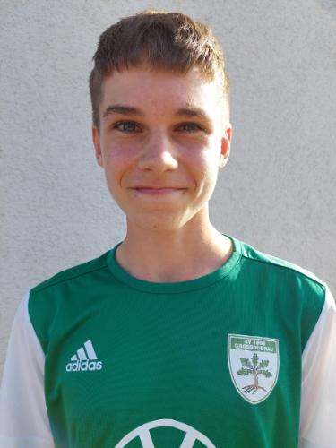 Theo Streich