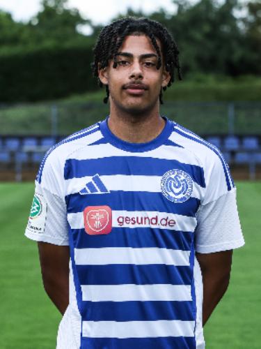 Louis Günter Halfes Meis