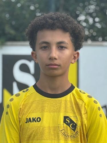 Pedro Henrique Goncalves Silva