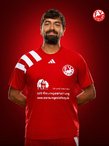 Farzan Qayumi