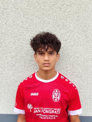 Mohammad Alkhamis