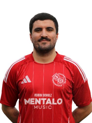 Ramin Elahi