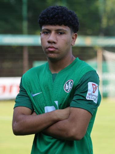 Mohamad Alshomalie