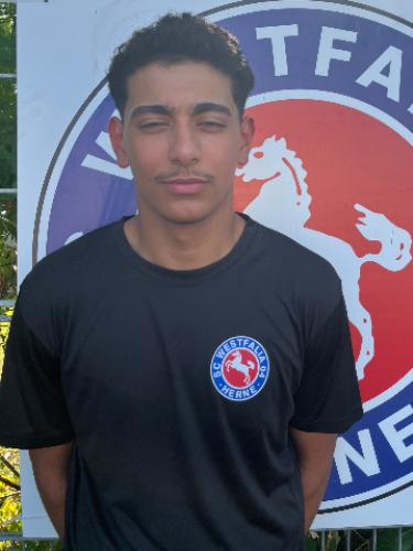 Hossam El-Nadi