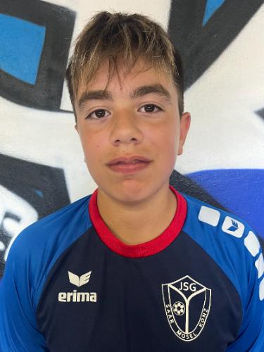 Jari Johan Schaub