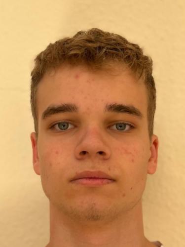 Henrik Sebastian Büscher