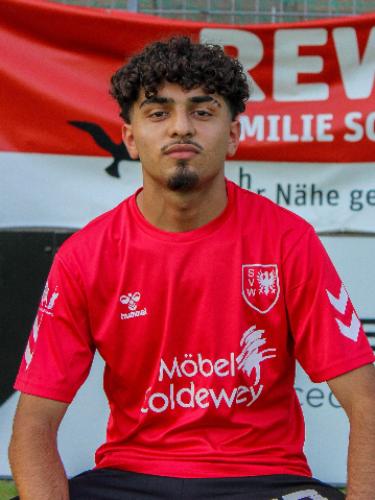 Yasha Mahmood Ali