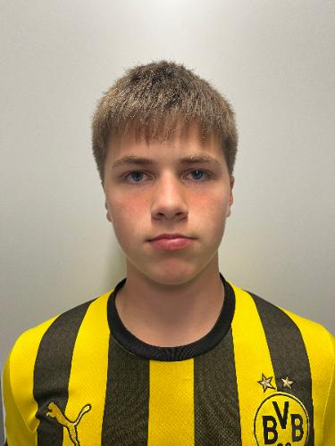 Hannes Veer