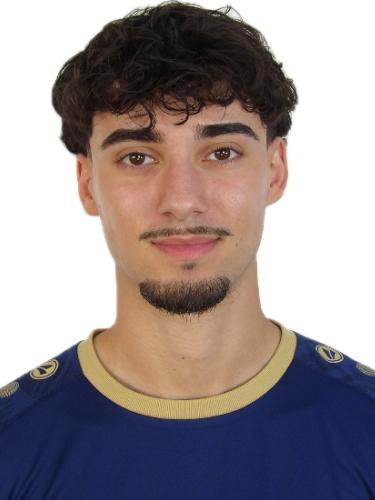 Emir Karabegovic