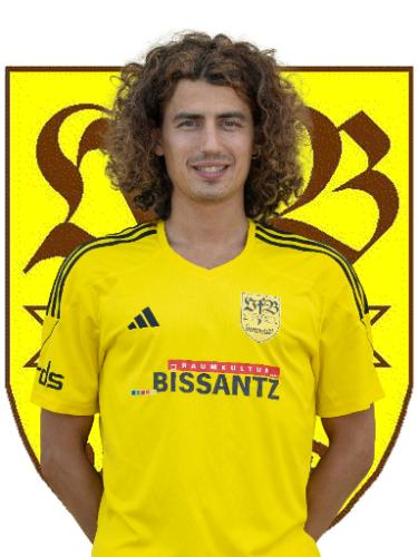Bozidar Stanimirovic