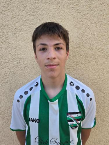 Aleksandar Arsic
