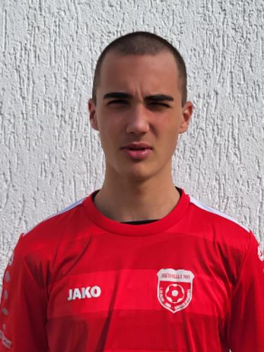 Nikola Stanislavov Terziyski