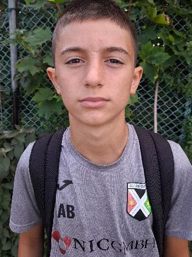 Amir Basha