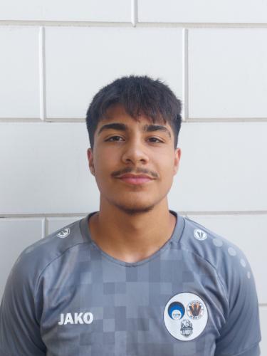 Yigit Ercan